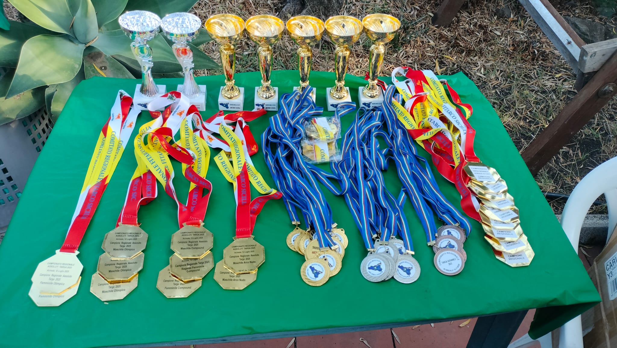 e3450133-06d8-4564-a80b-1823457388a3